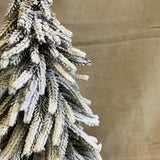 Besneeuwde kerstboom