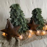 Nobilis kerstboom
