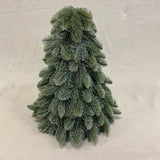 Nobilis kerstboom