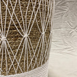 Zeegras mand Komodo Jewel