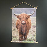 Schotse hooglander met ledverlichting