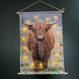 Schotse hooglander met ledverlichting