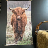 Schotse hooglander met ledverlichting