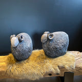 Schaap Janko