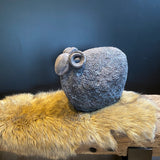 Schaap Janko