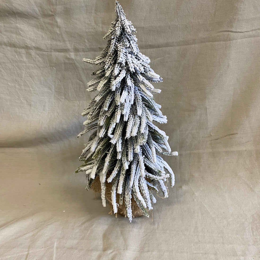 Besneeuwde kerstboom