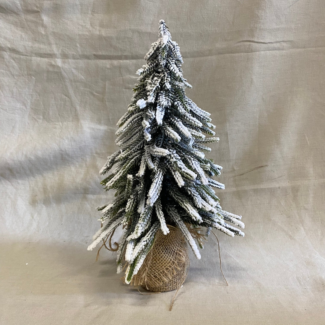 Besneeuwde kerstboom