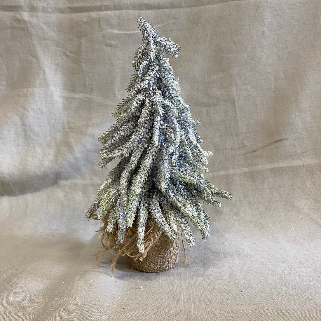 Besneeuwde kerstboom